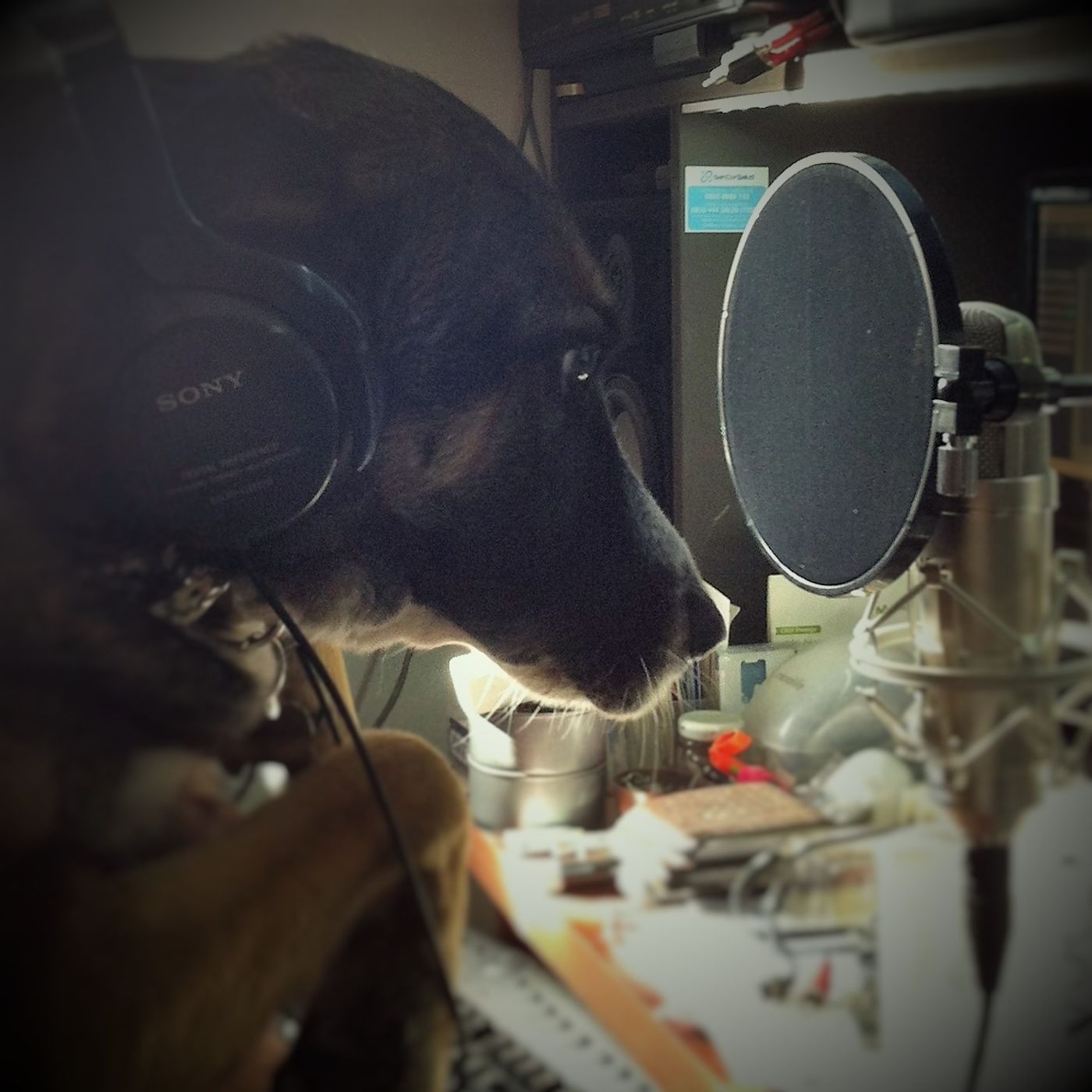 Marcelo Alvarez Scheihing's tracks