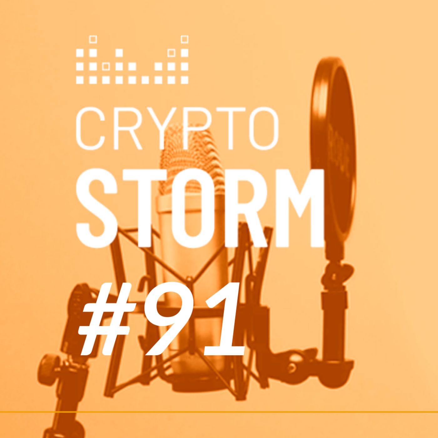 Crypto Storm