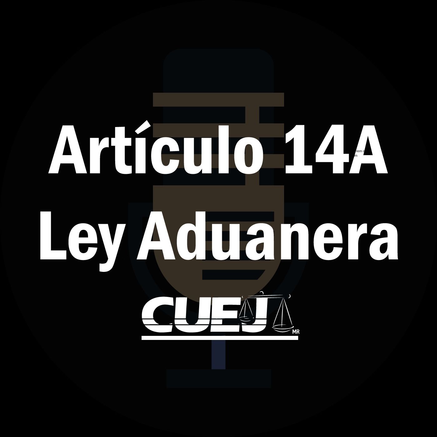 Audio Ley Aduanera