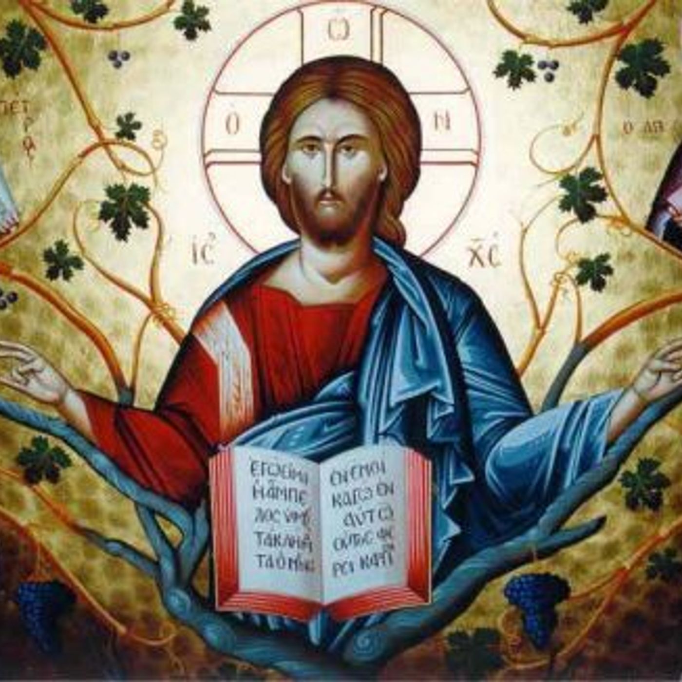 155_Secondo_anno_di_vita_pubblica_di_Gesu episode artwork