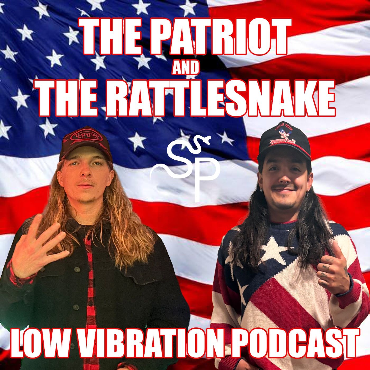 Low Vibration Podcast | The Patriot and The Rattlesnake | Episode 30 episode artwork