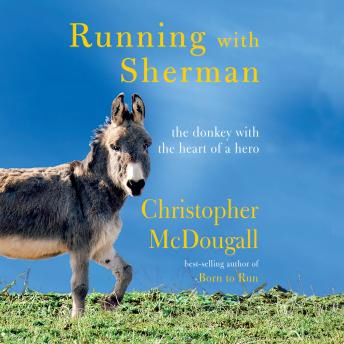 Listen to the Best Full Audiobooks in Health & Wellness, Fitness, Diet & Nutrition