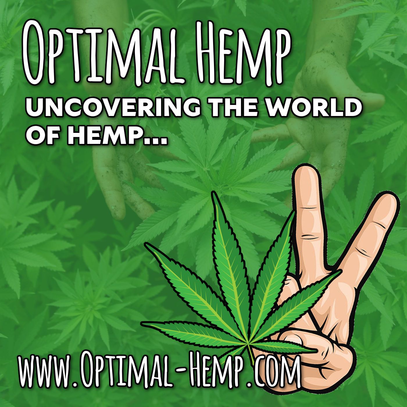 Optimal Hemp - Discover the World of Hemp