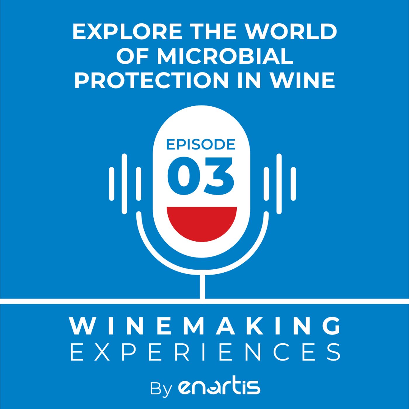 Winemaking Experiences by Enartis (English version)