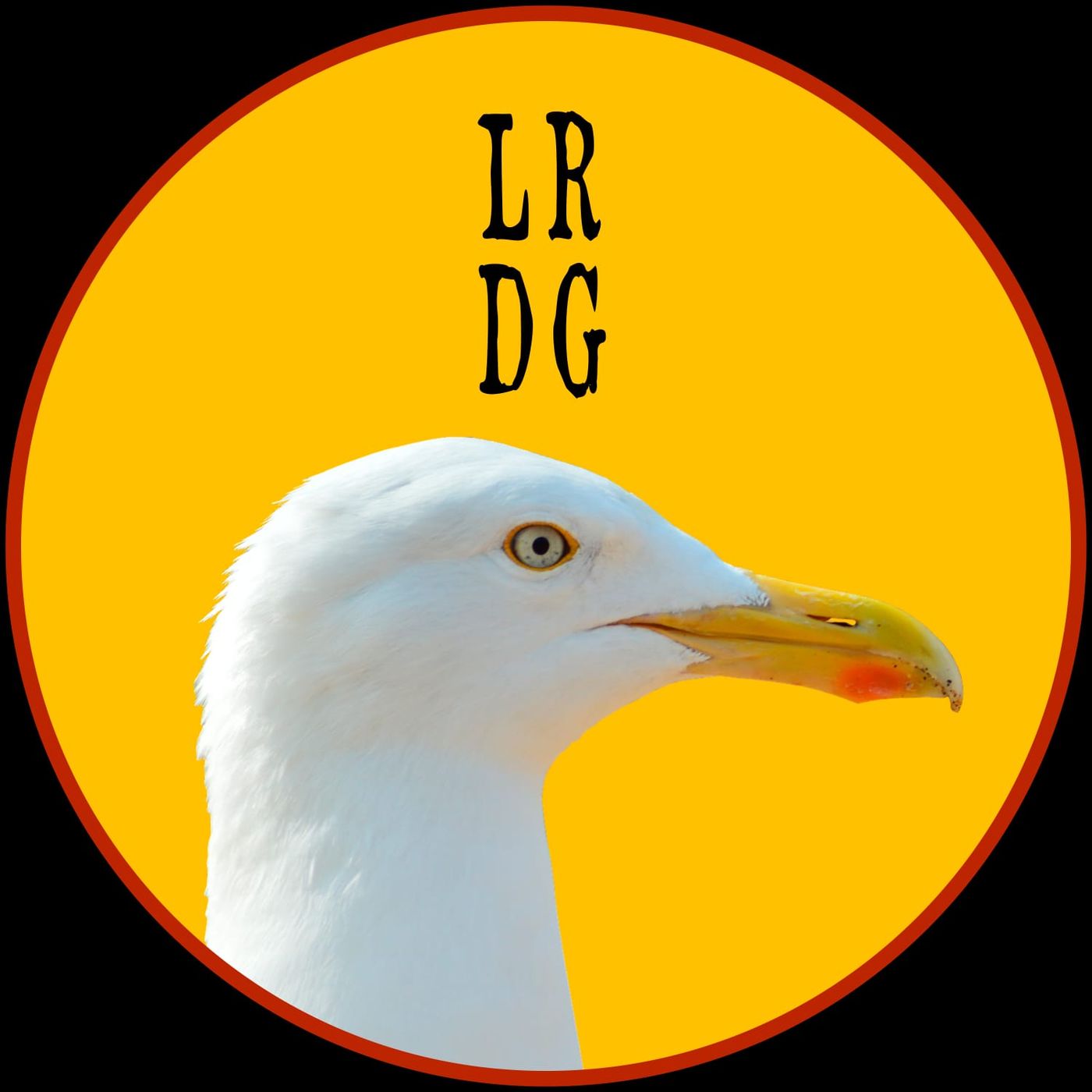La Repubblica del Gabbiano