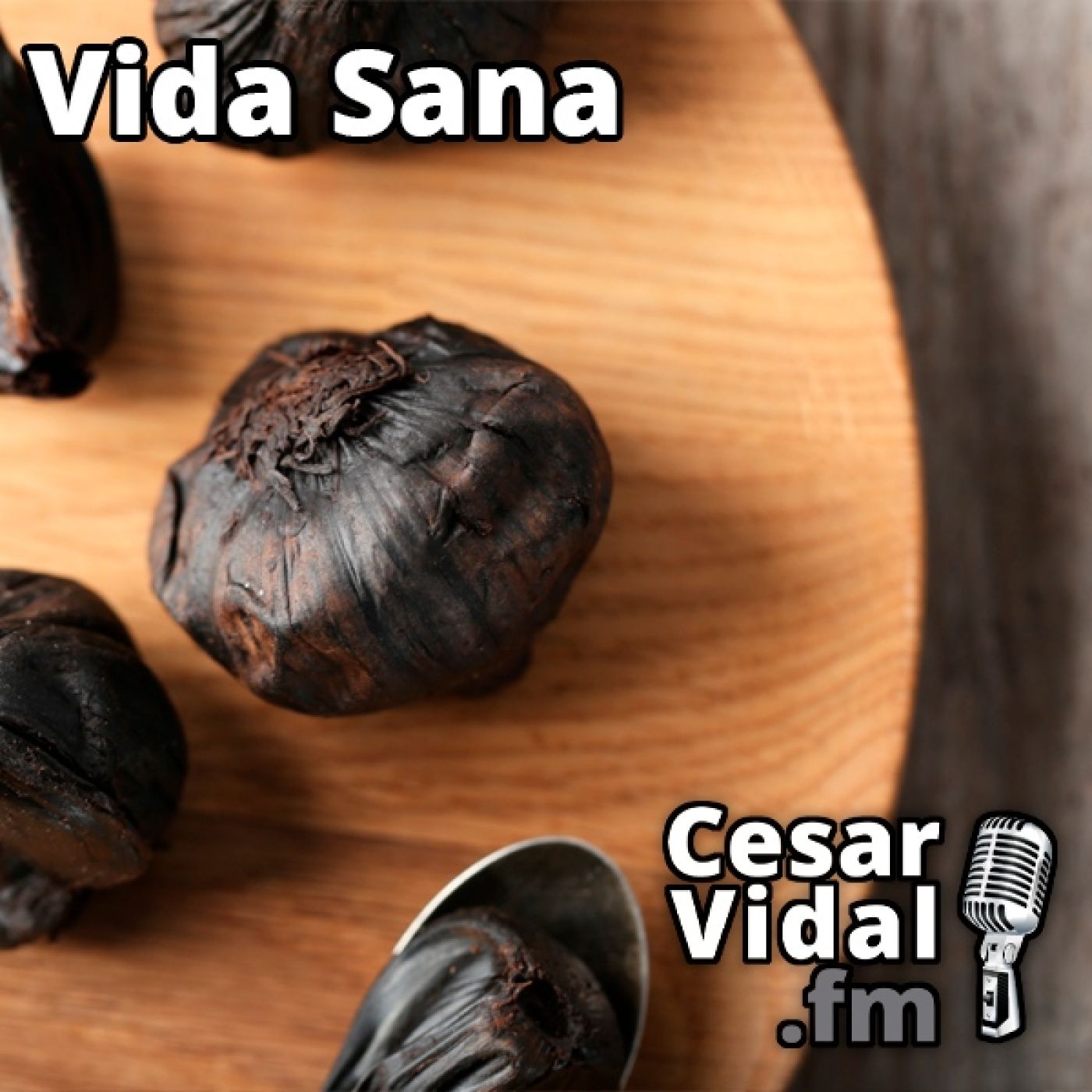 La Voz de César Vidal