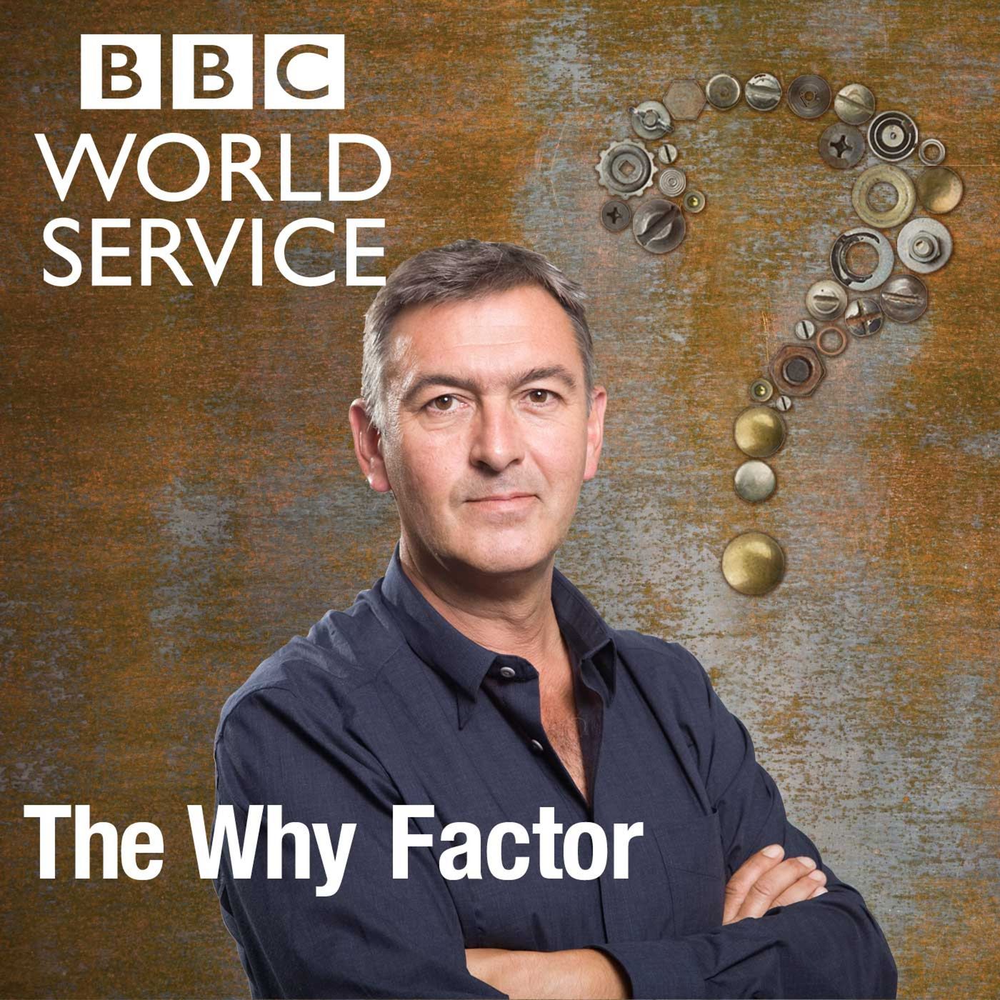 The Why Factor
