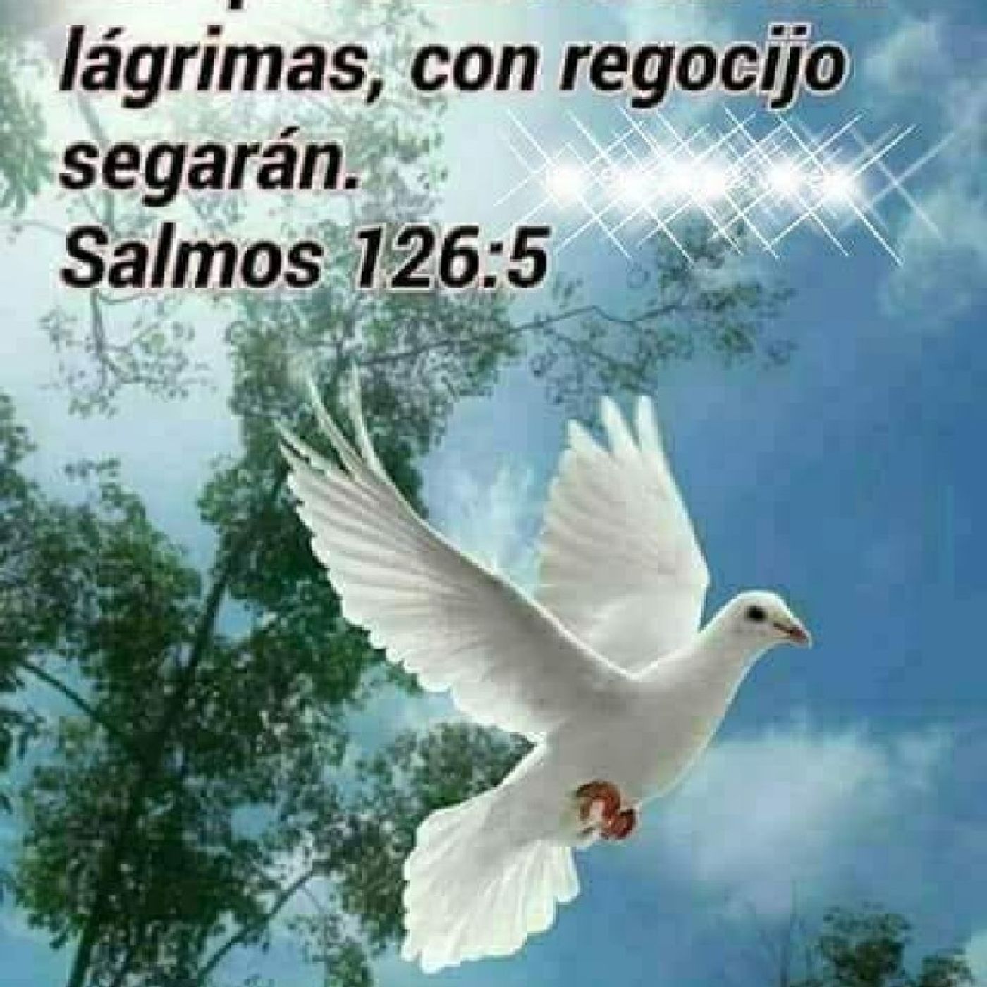 El show de Alma