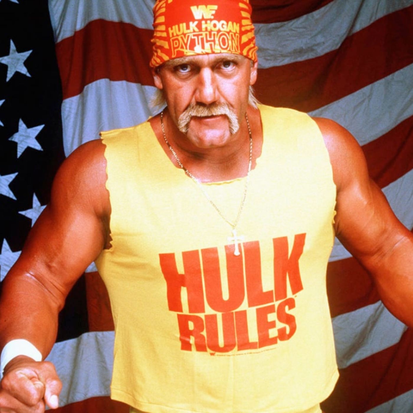 Immortal...The Hulk Hogan Story episode artwork