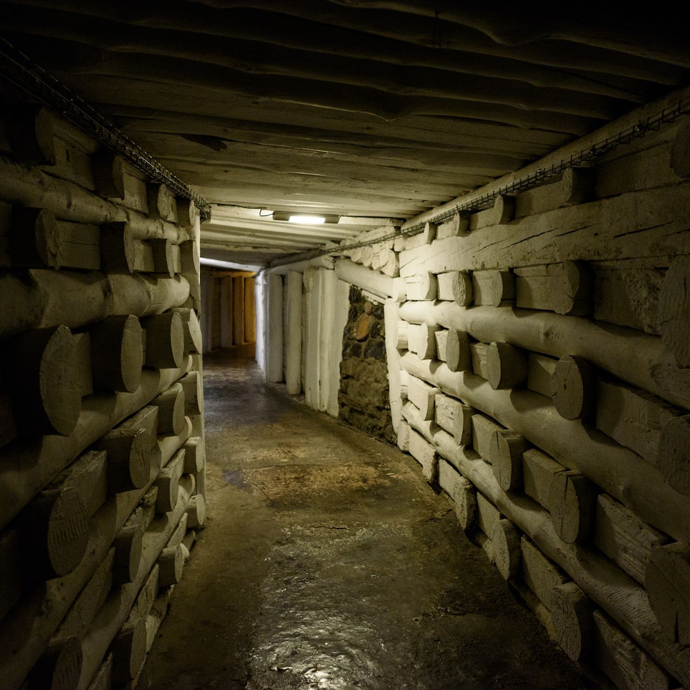 La Trastienda: Europa vuelve a la mina y Trump impone nuevos aranceles al automóvil