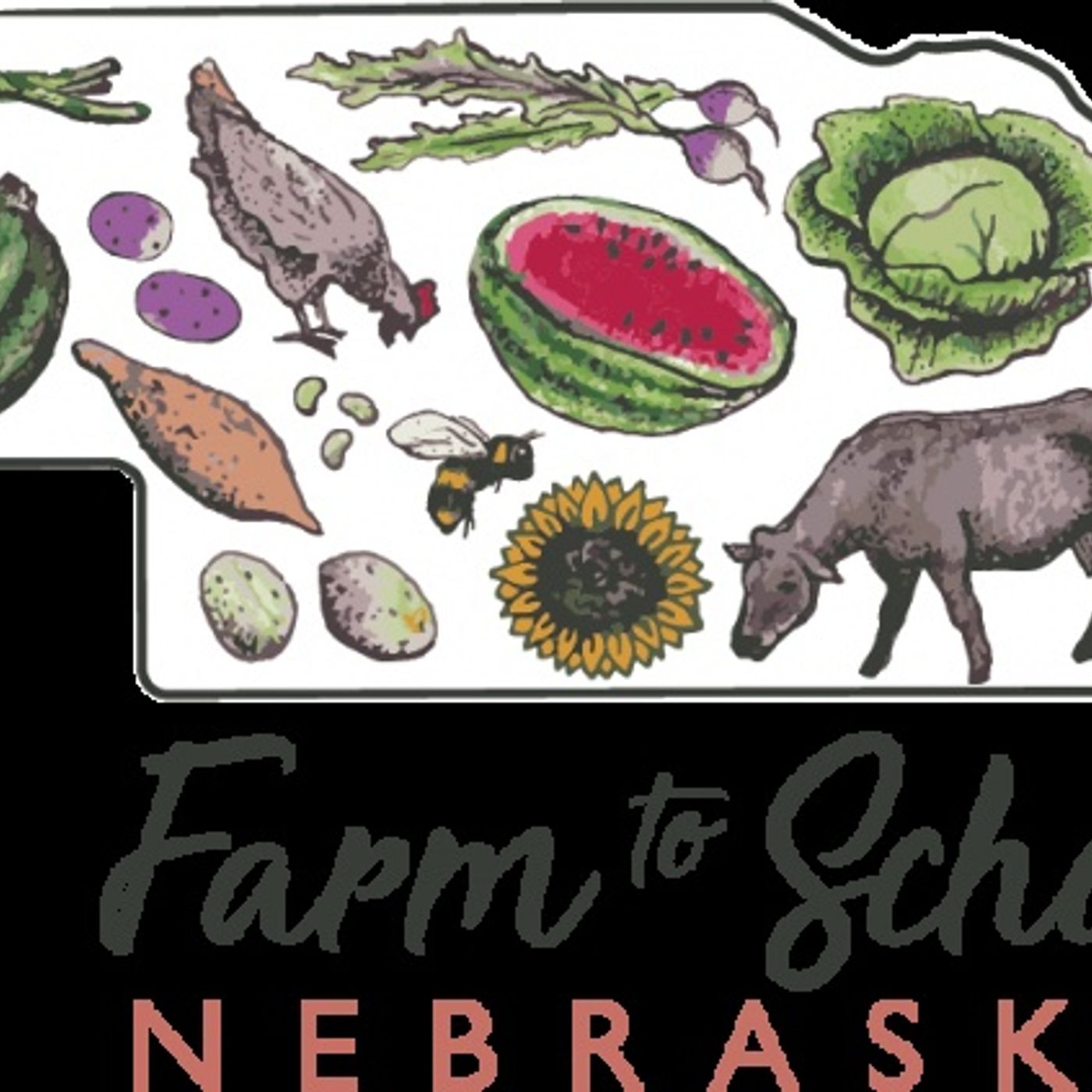 Jessie Coffey on Nebraska Farm to School, implementing 'Beanstock' & dry bean knowledge