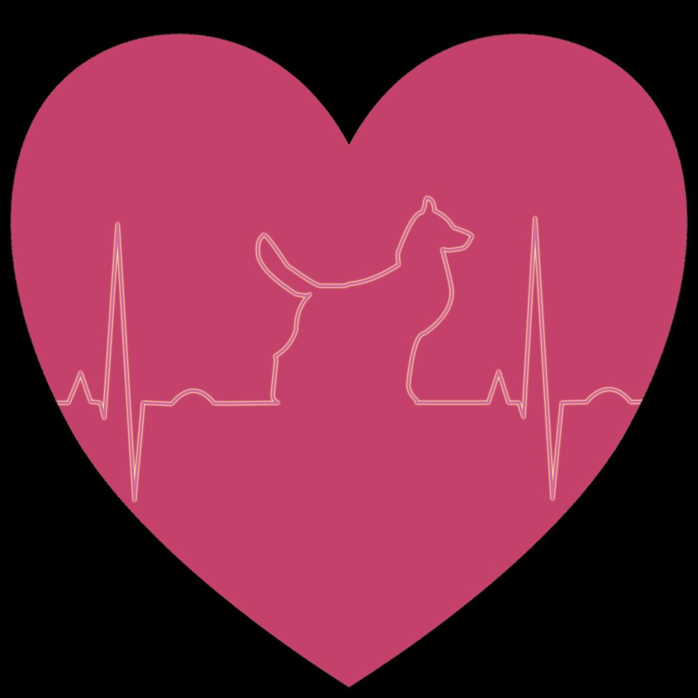 Backwoods Veterinary Assistant