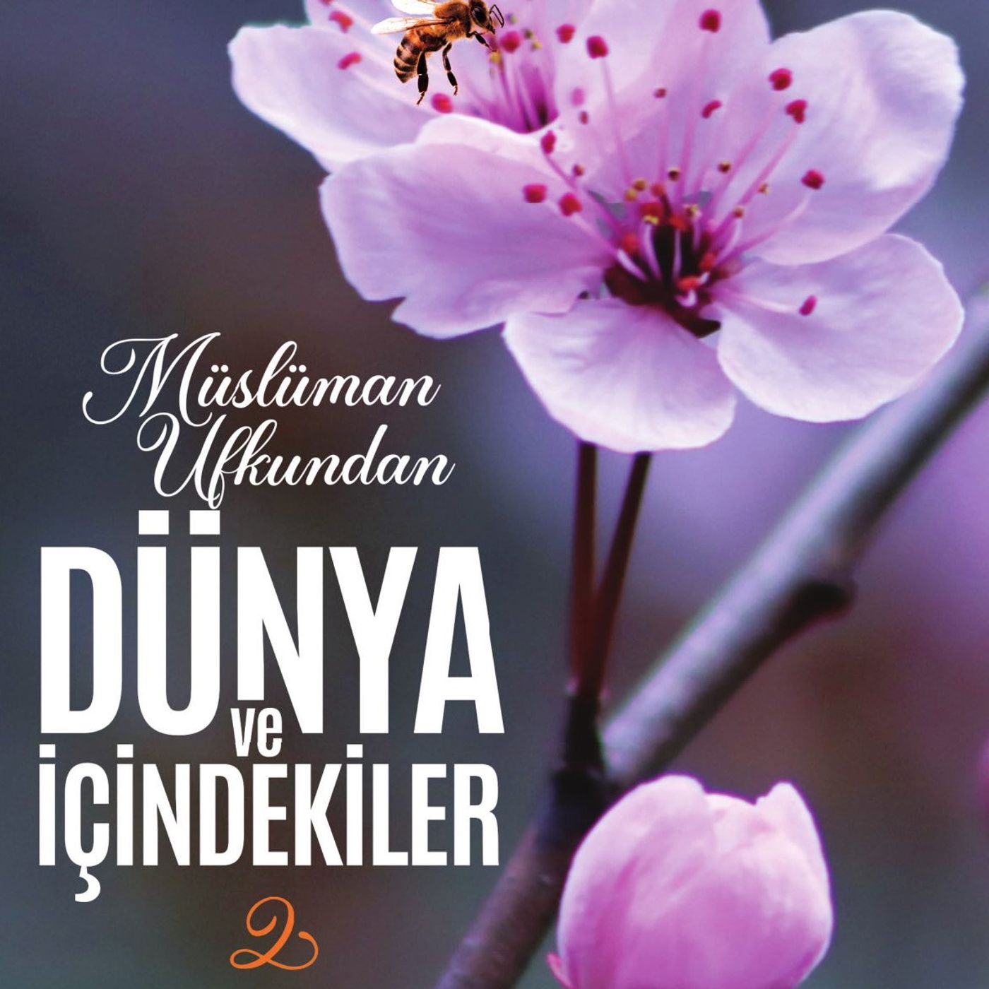 Müslüman Ufkundan Dünya ve İçindekiler-2 episode artwork