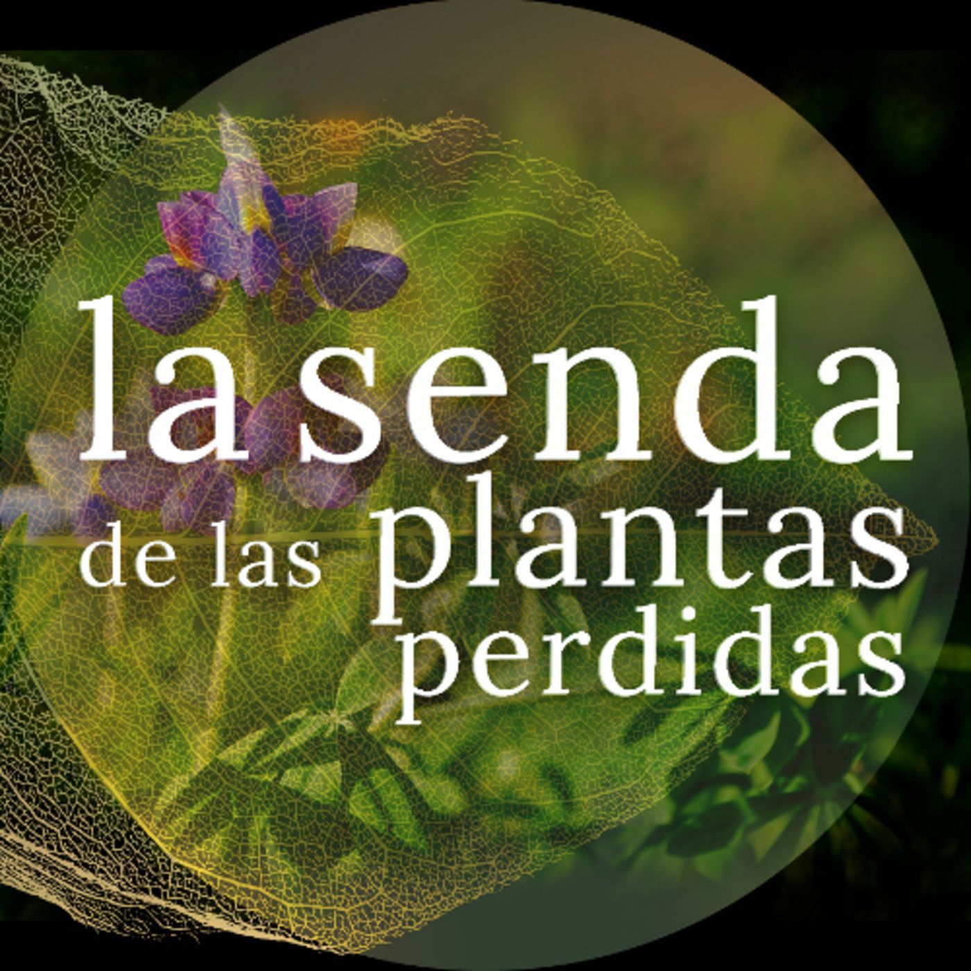 La Senda de las Plantas Perdidas