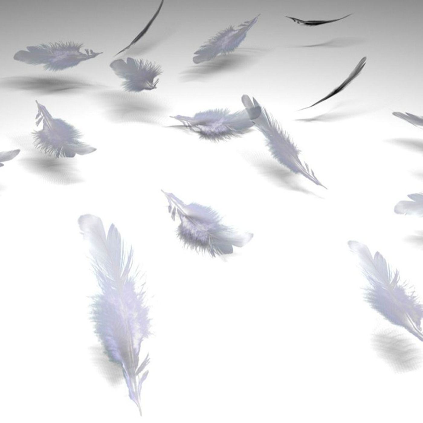 El saco de plumas