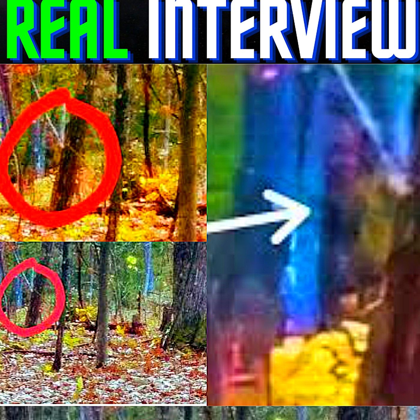 Bigfoot Caught on Camera Real Life 🐵 Bigfoot Encounter Interview 2020 episode artwork