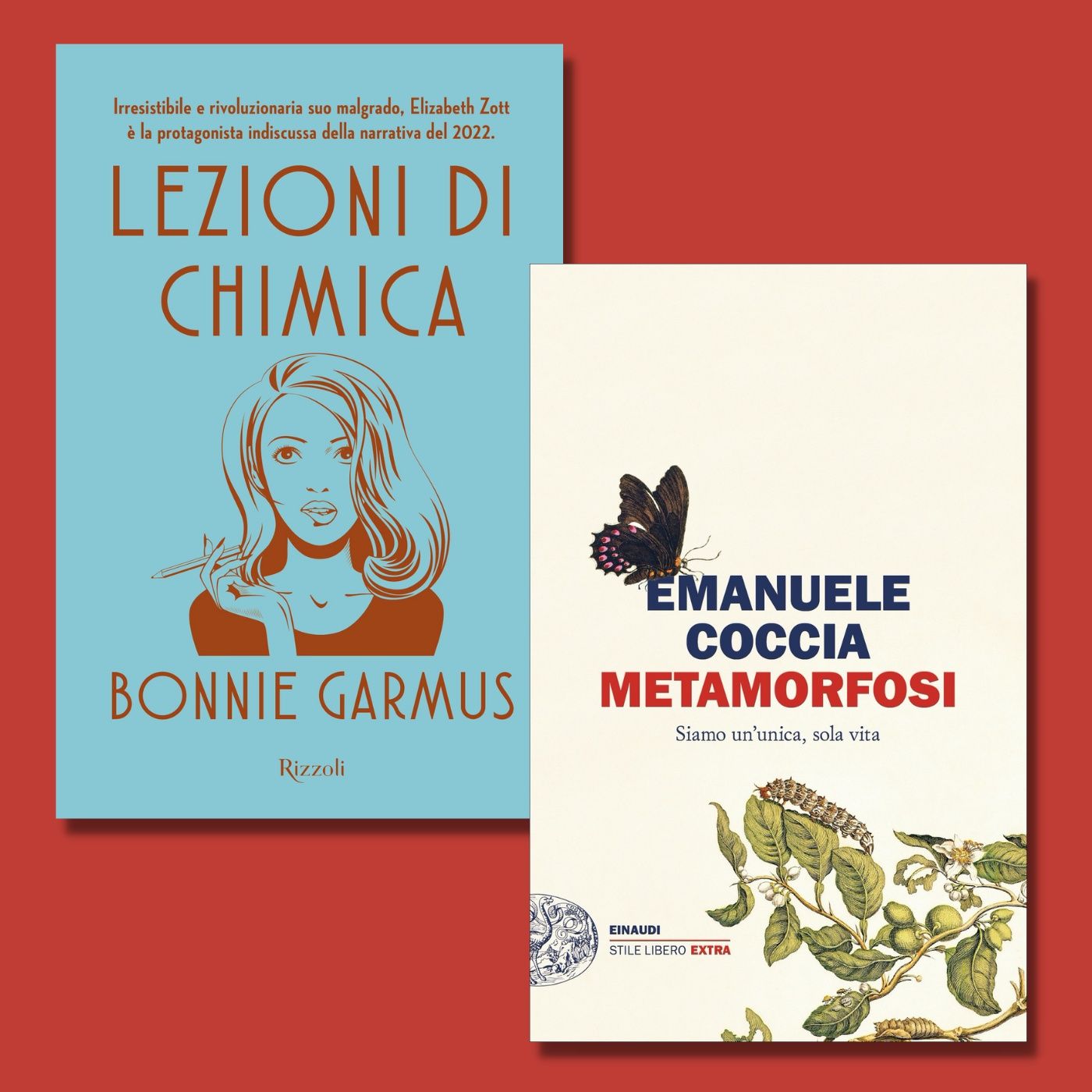 Archivio: Bookblister
