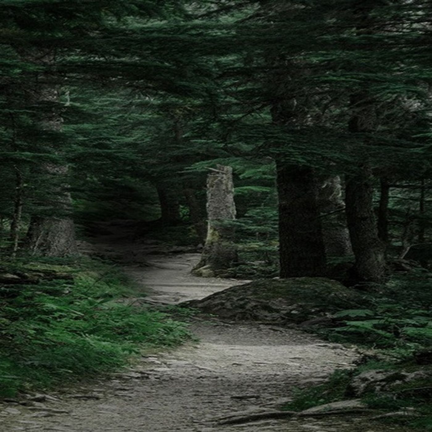 El Atajo (NAHUALES) Historias De Terror - REDE