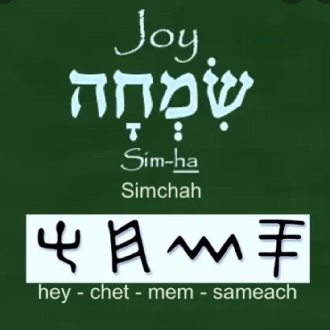 Joy/Simchah episode artwork