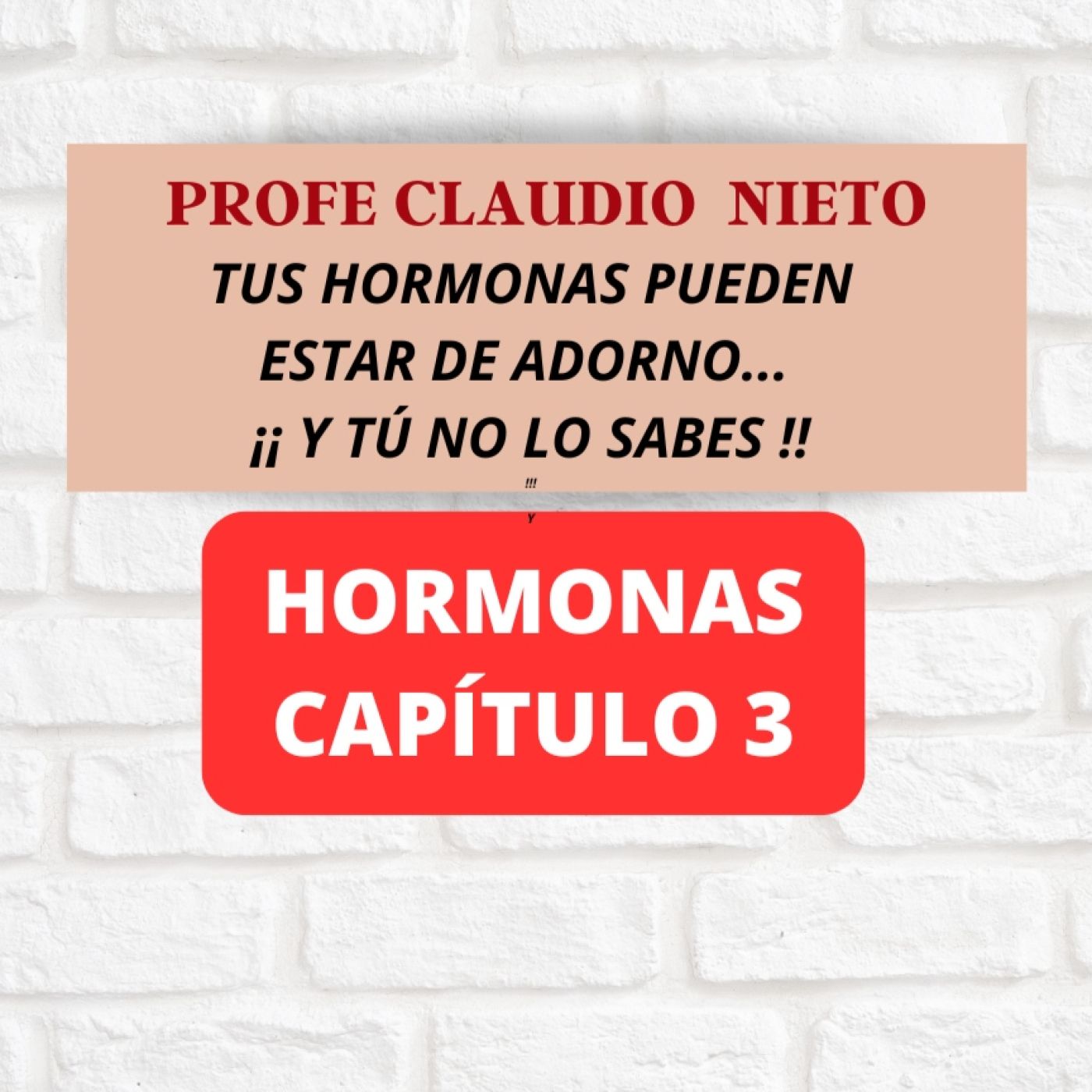 235. HORMONAS 3: NO SON LAS QUE TIENES... SON las que PUEDES USAR