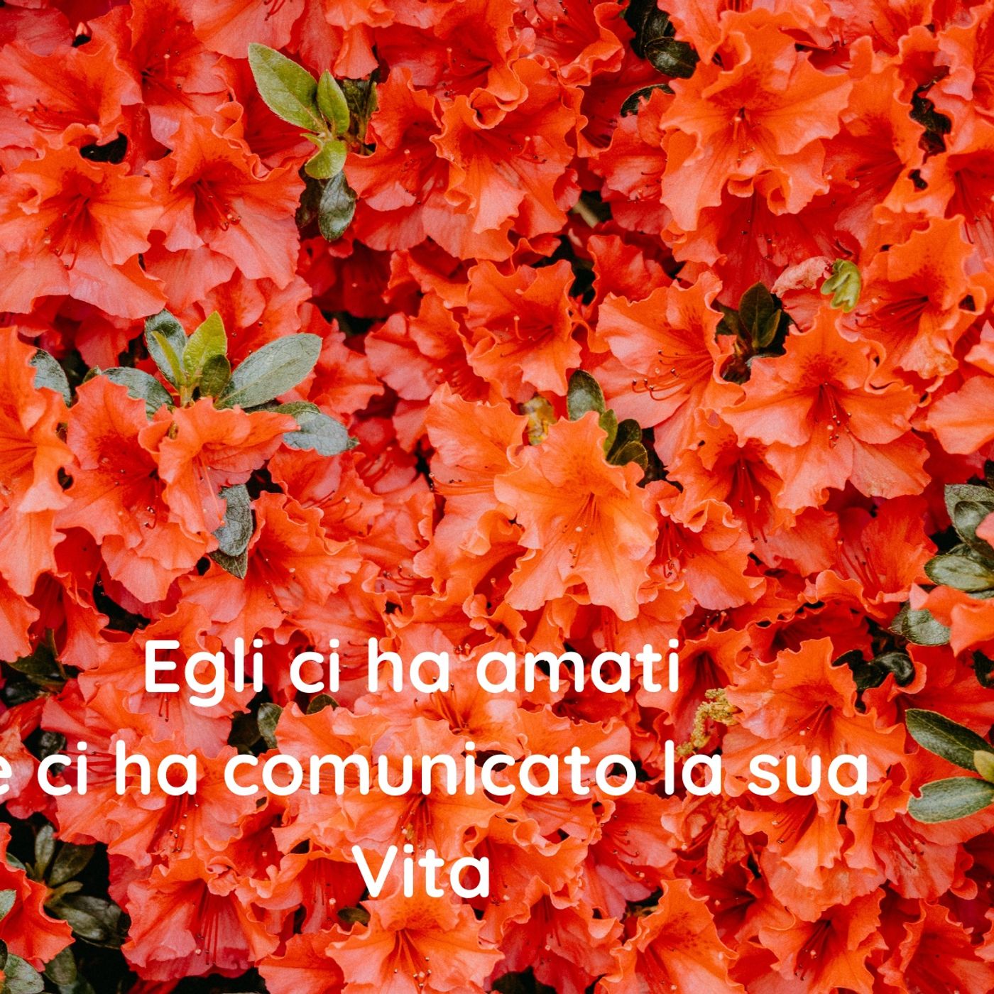 Commenti al Vangelo