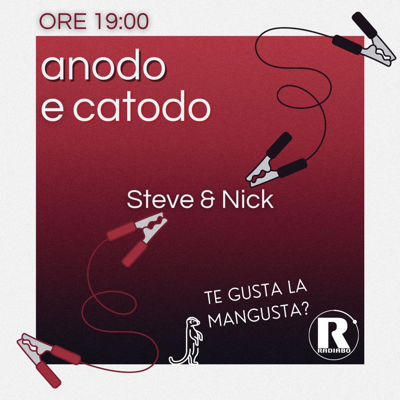 ANODO E CATODO