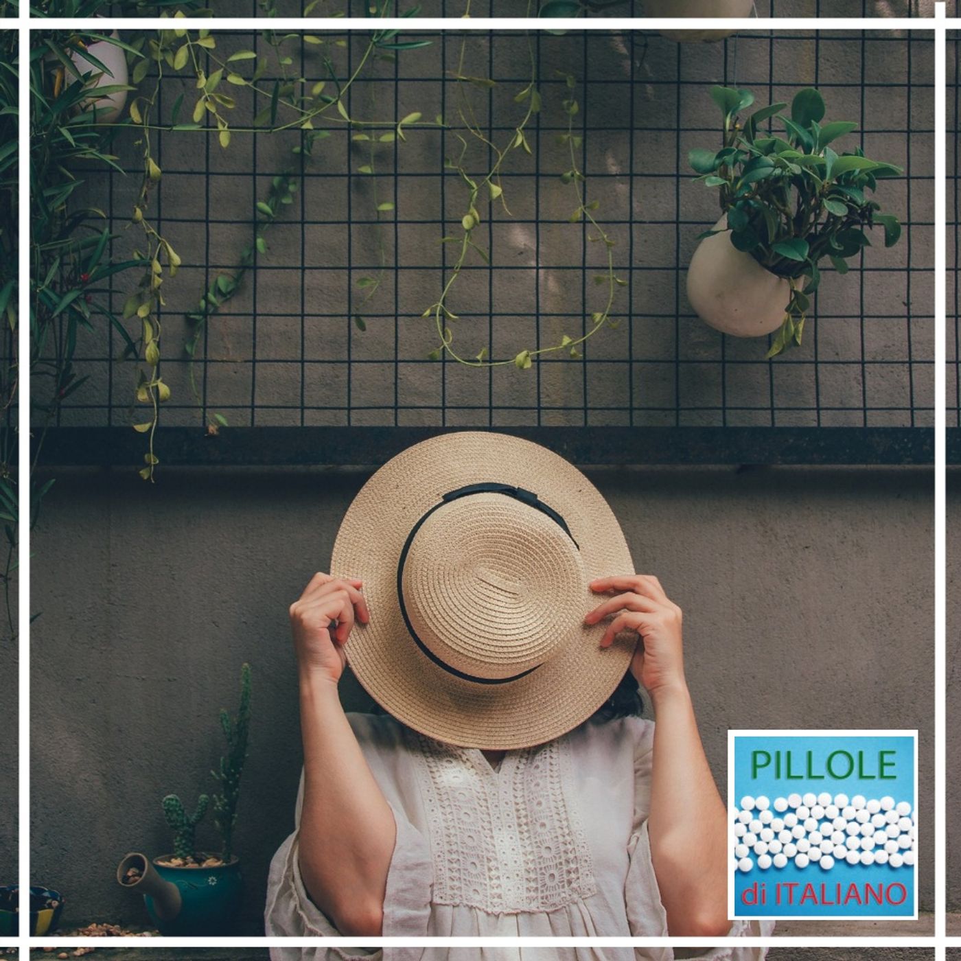 Il punto - Articoli determinativi