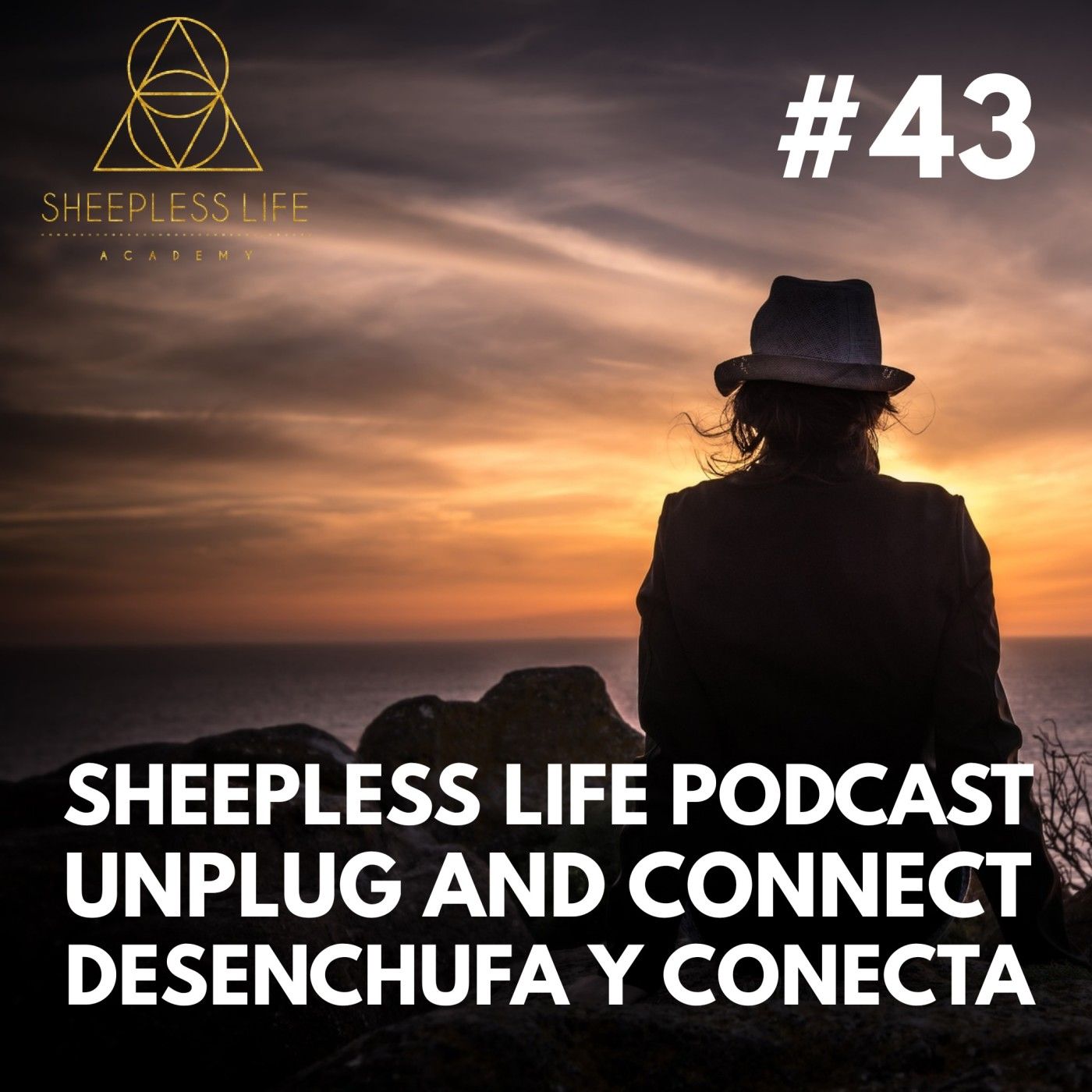 043 - Desenchufa y conecta