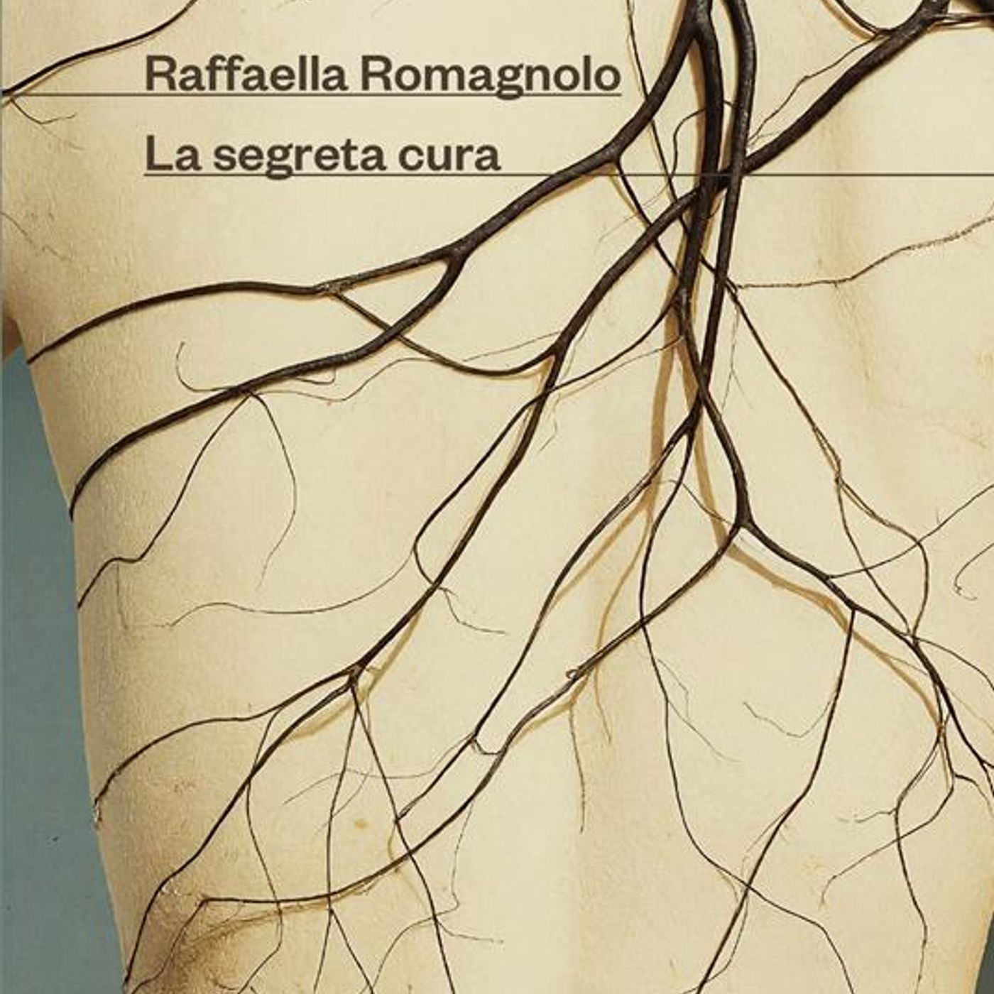 Raffaella Romagnolo "La segreta cura" episode artwork