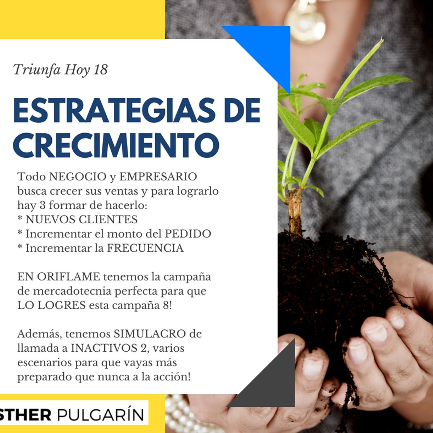 Tejiendo Redes