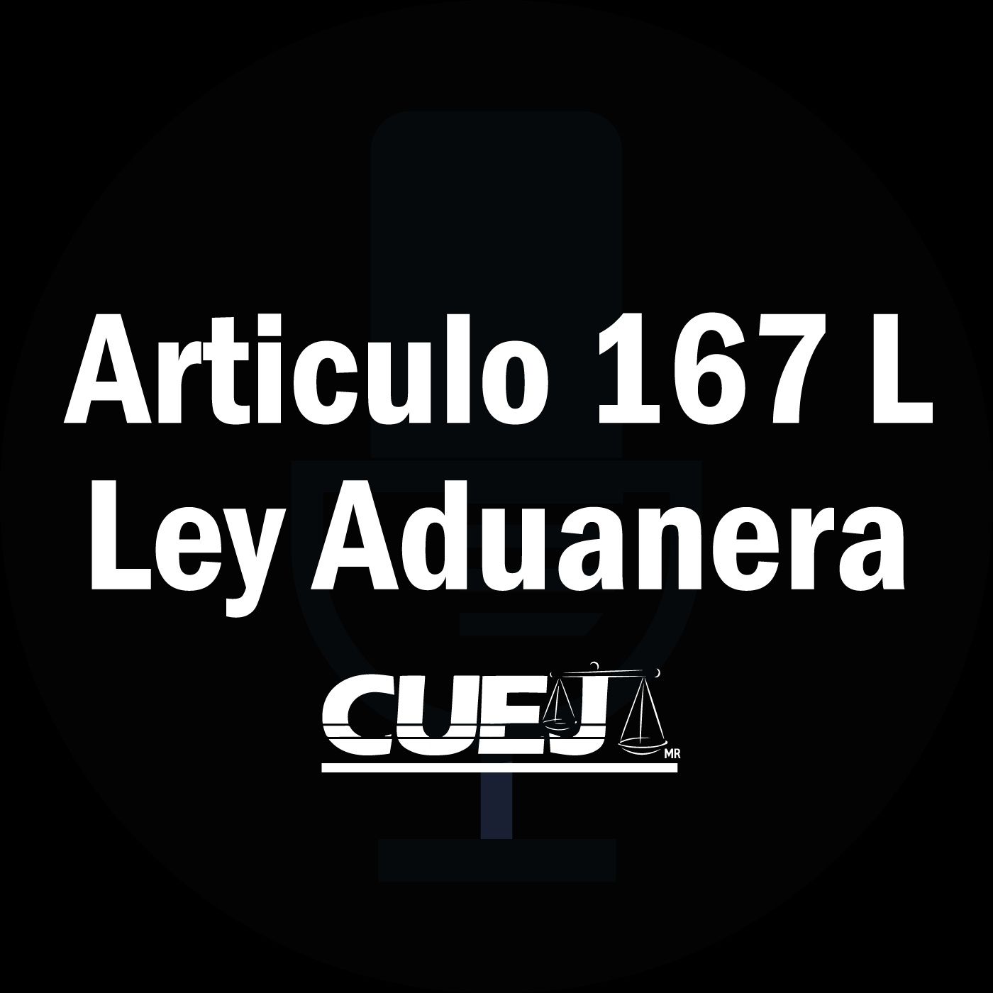 Audio Ley Aduanera