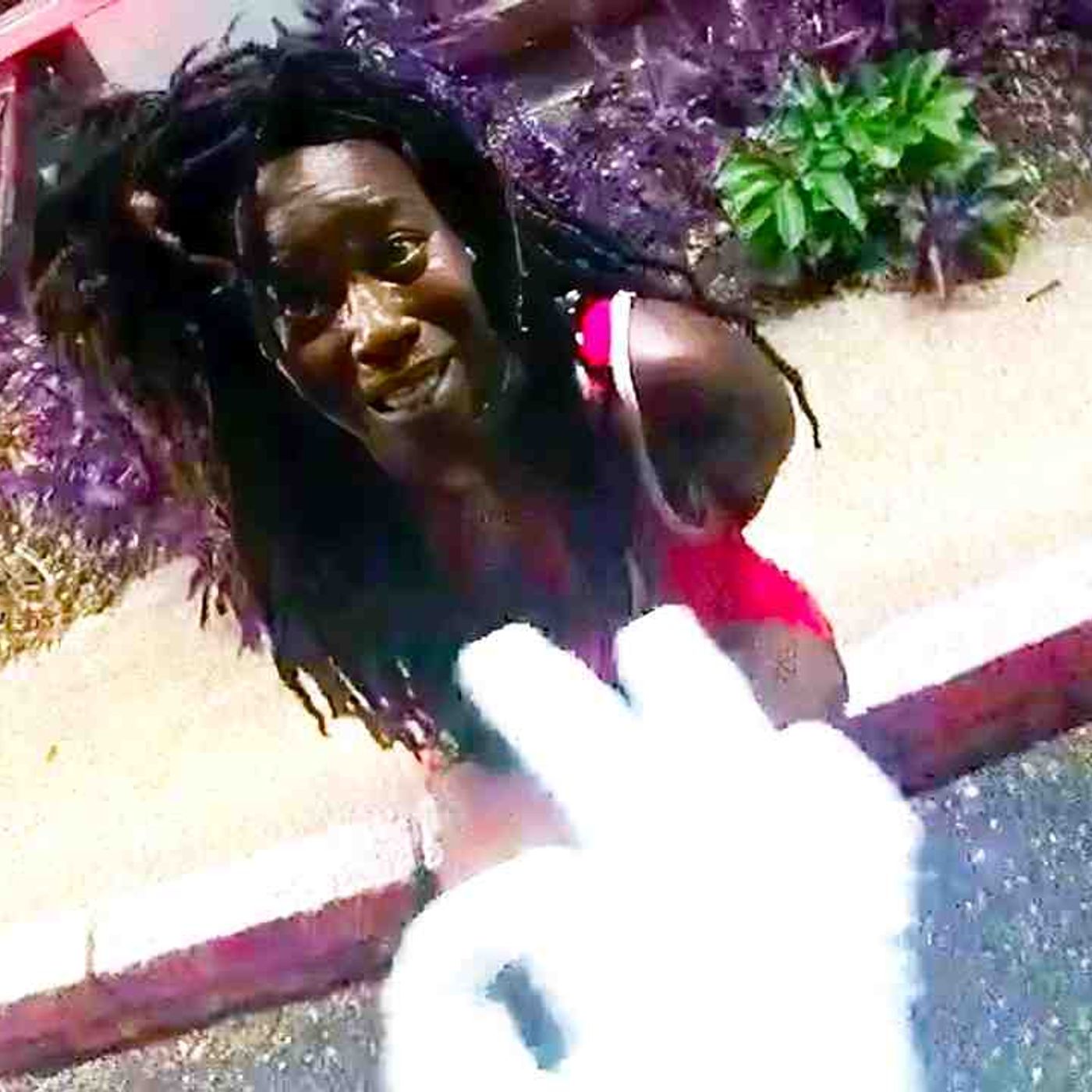 Cops Pull Over Speeding Woman_ Find Decomposed Kids in Trunk episode artwork