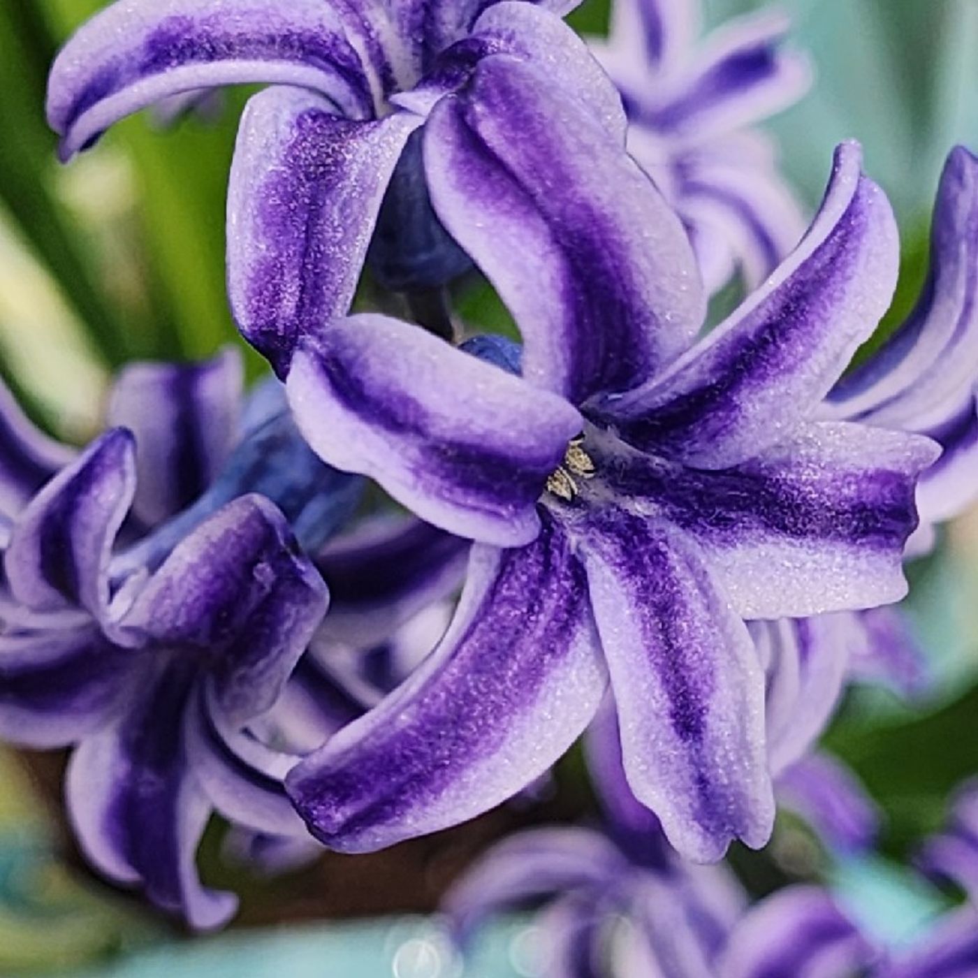 Platica amorosa antes de dormir con el Creadorwav.m4a