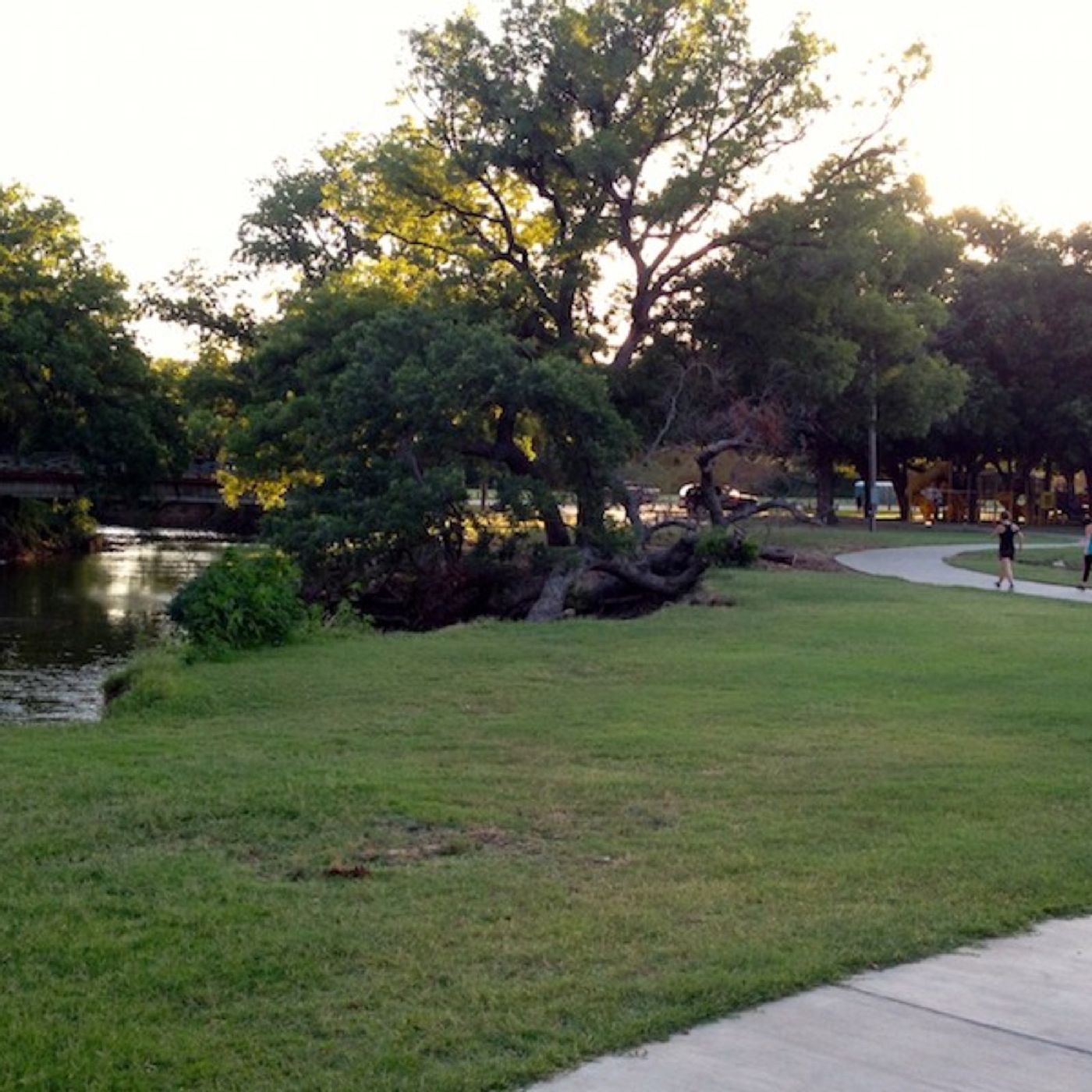 A Walk In The Park With CV