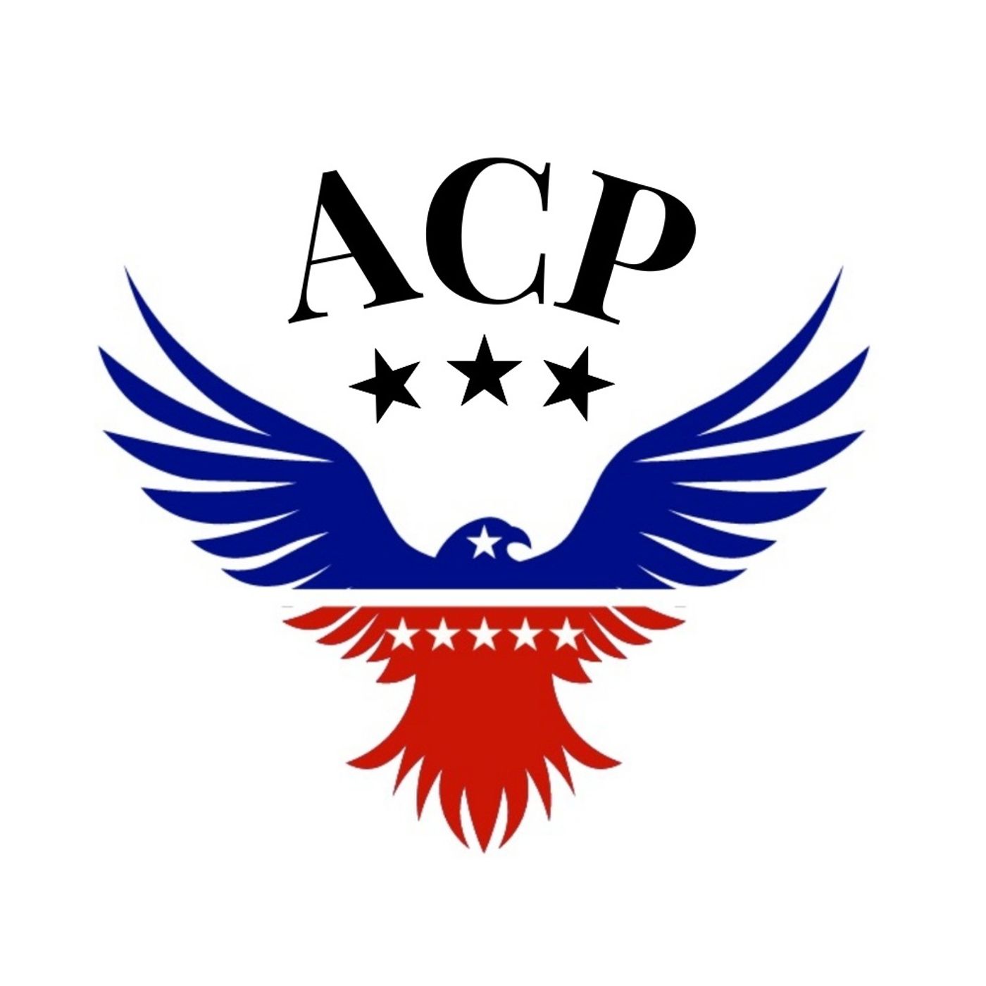 I am Running for U.S. House of Representatives, South Carolina District 1 | Ep 410 episode artwork