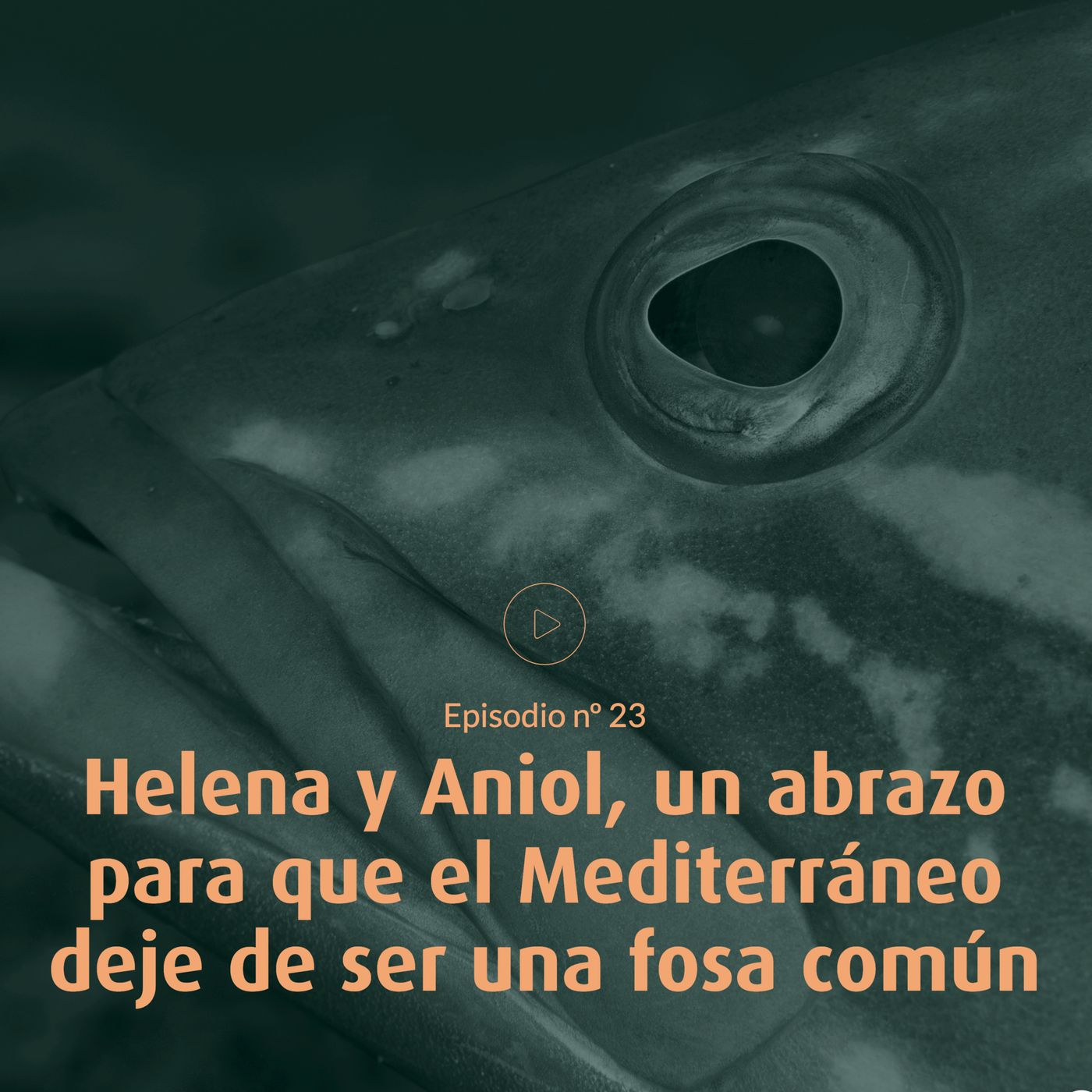 Veus, historias que sanan el mundo