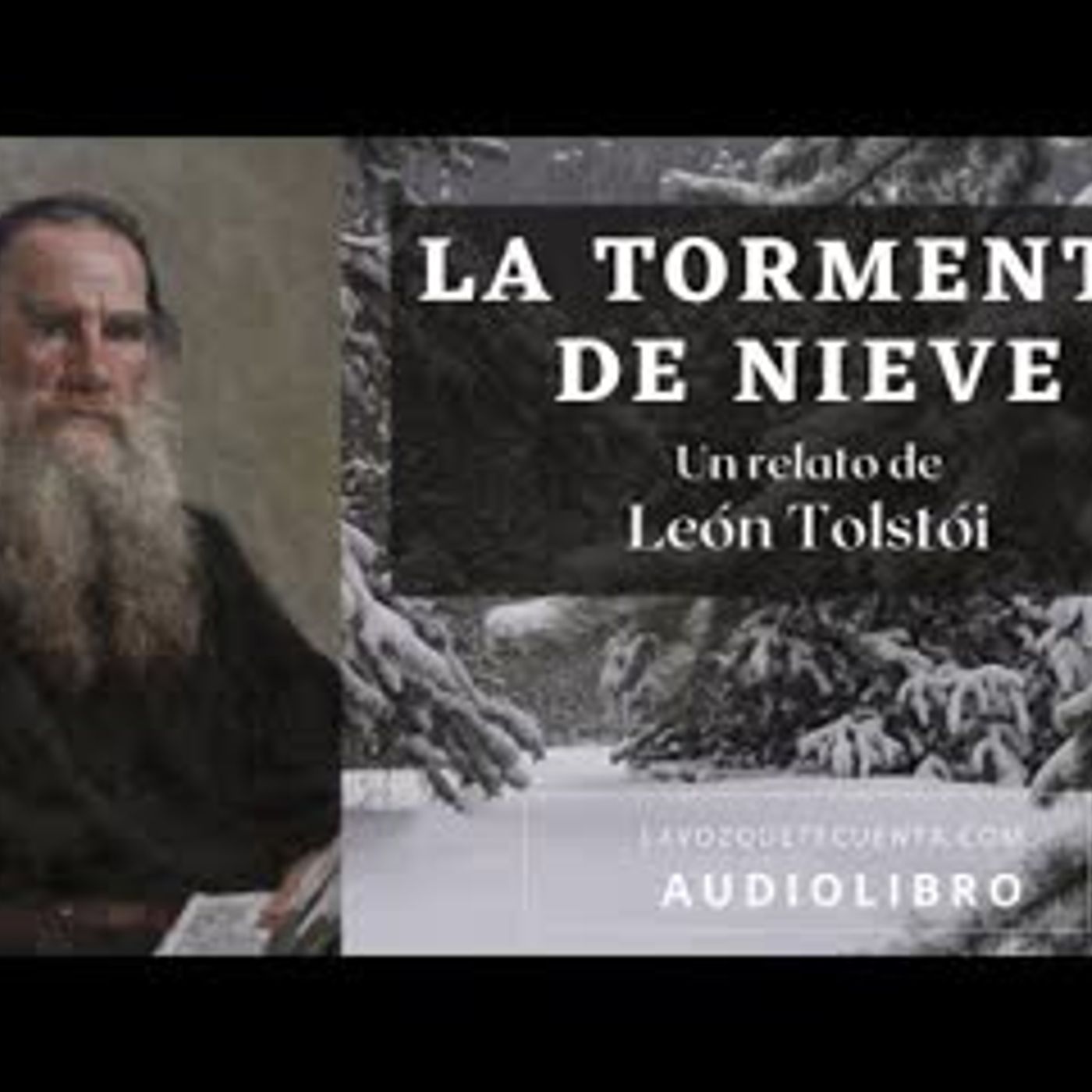 Audiolibro En Español