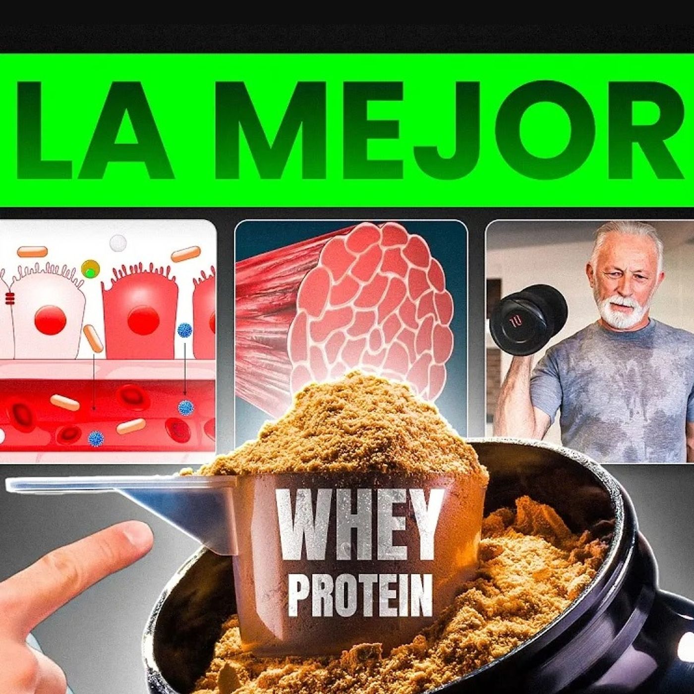 Proteína de suero el alimento ultraprocesado más saludable