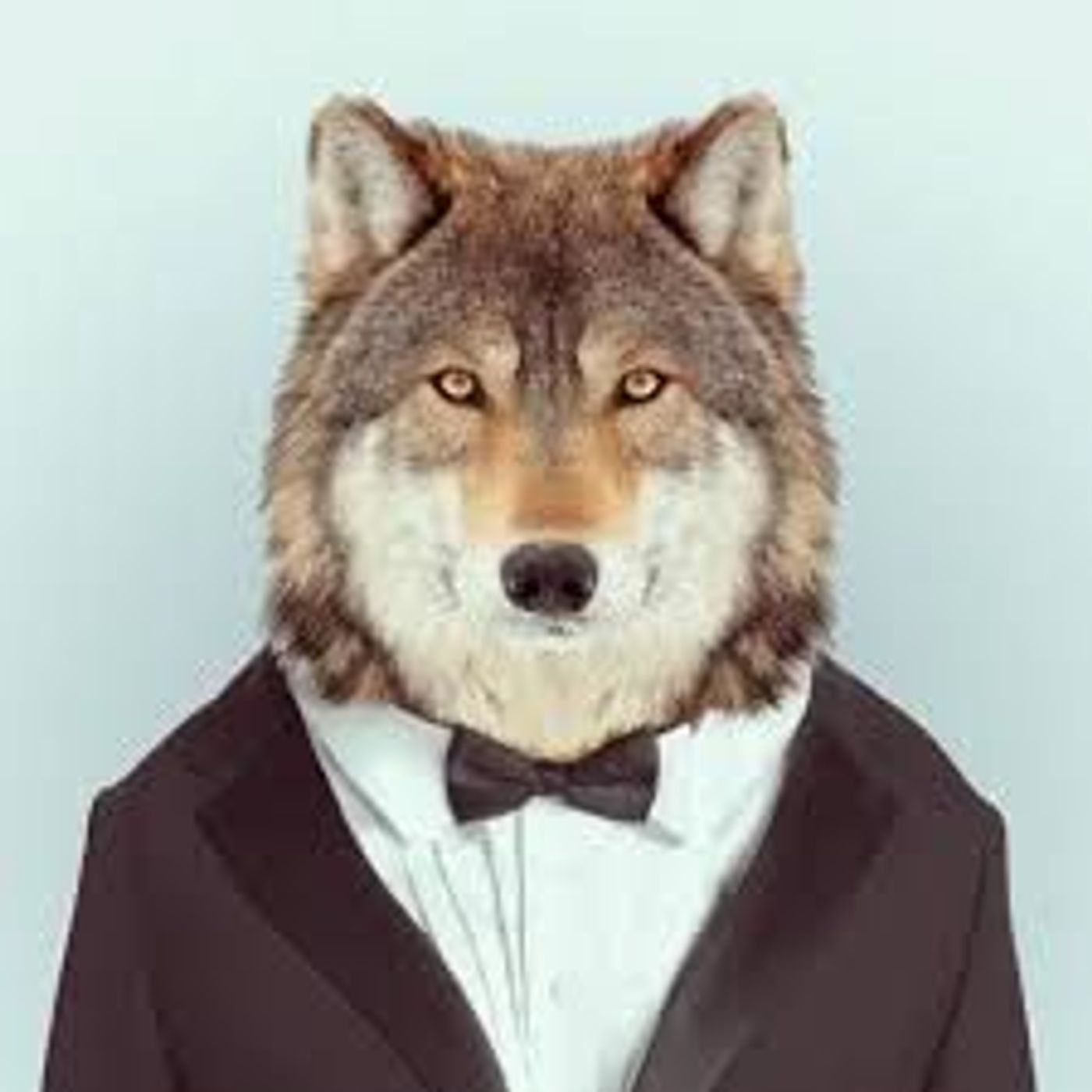 Wolfluminati episode artwork