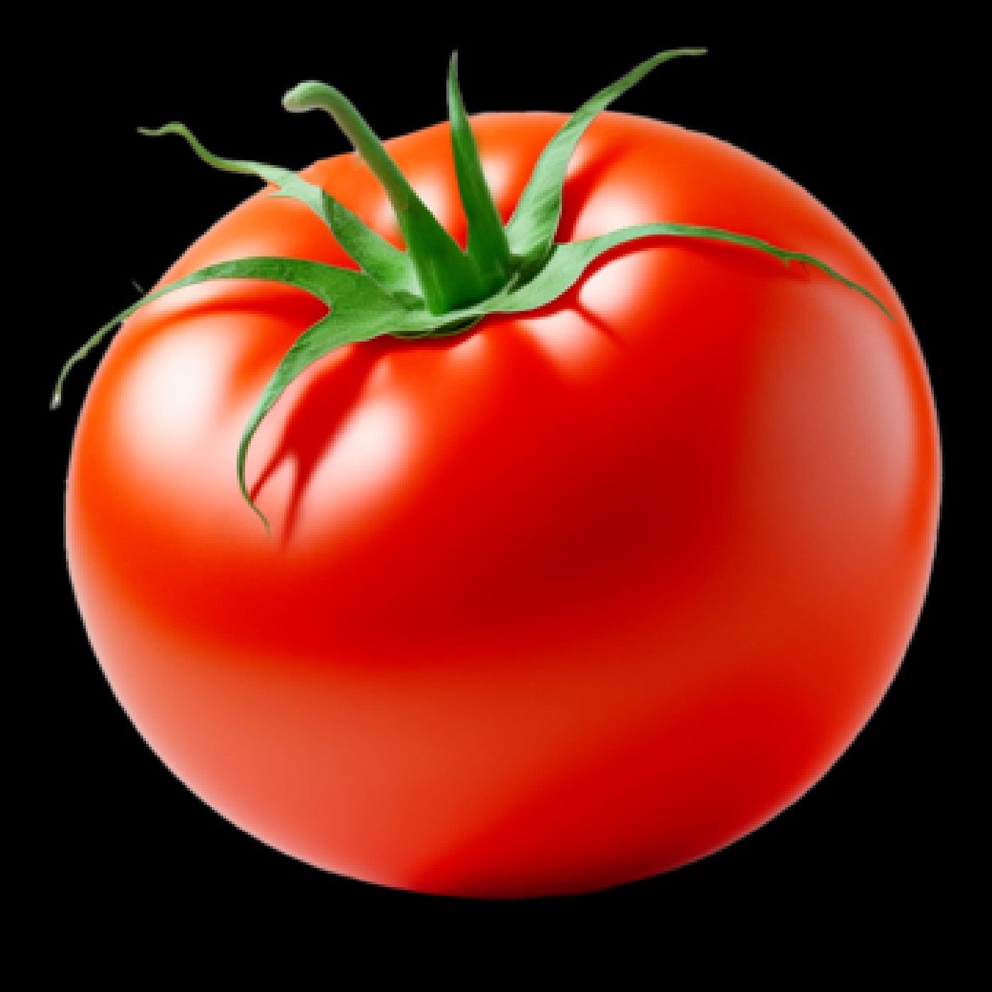 Planting Tomato podcast artwork