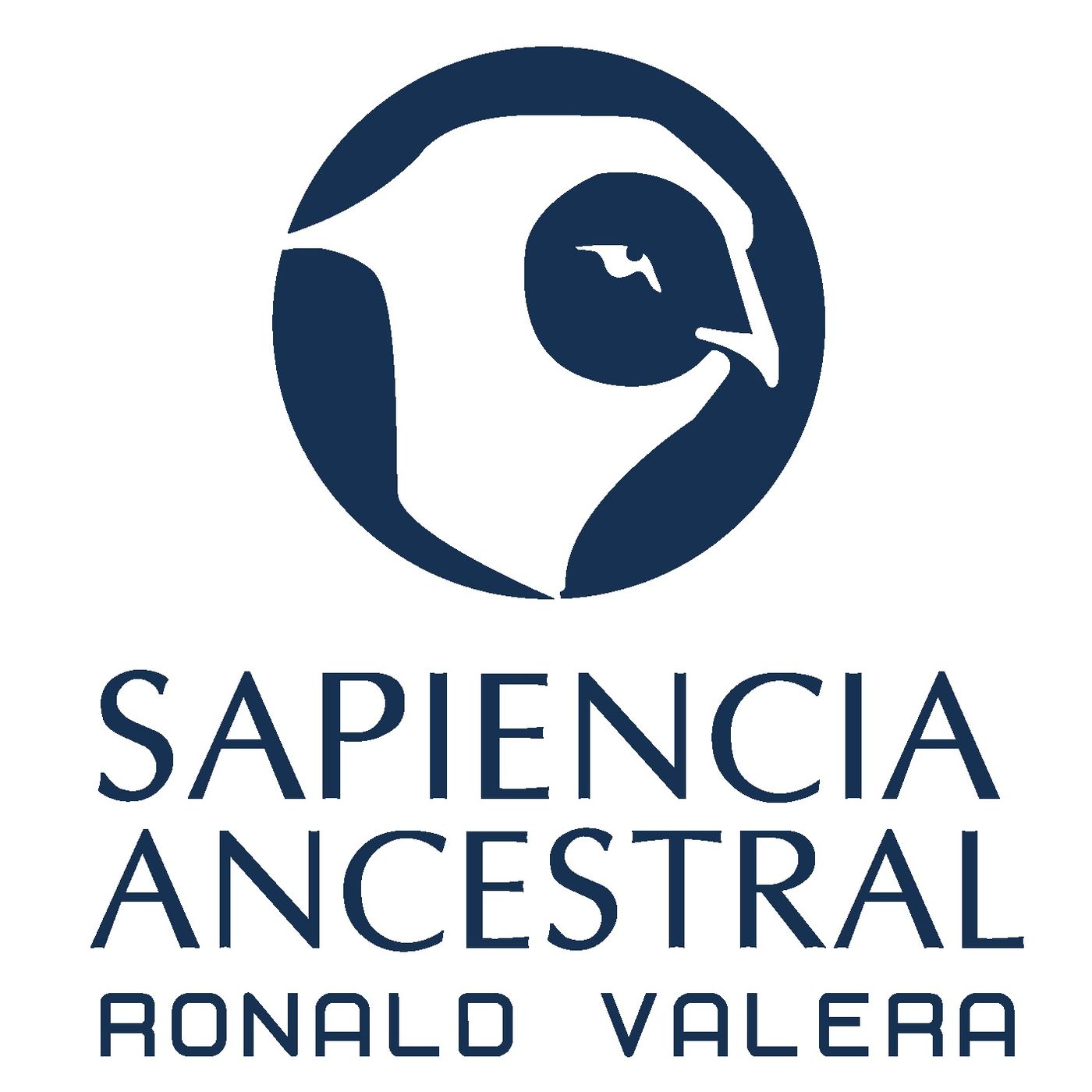 REFLEXIONES DE VIDA DESDE EL EVANGELIO D