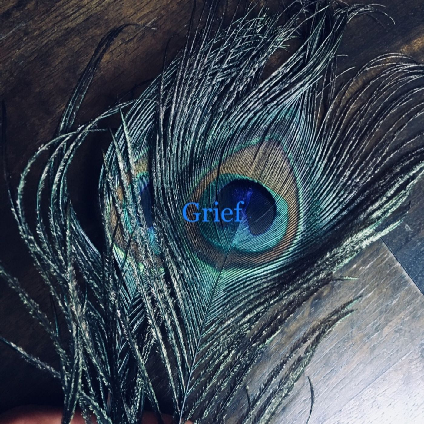 Grieving and healing episode artwork