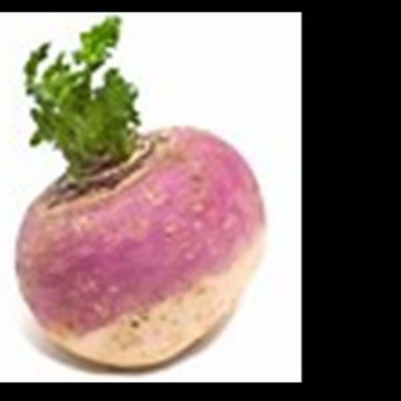 The Turnip episode artwork