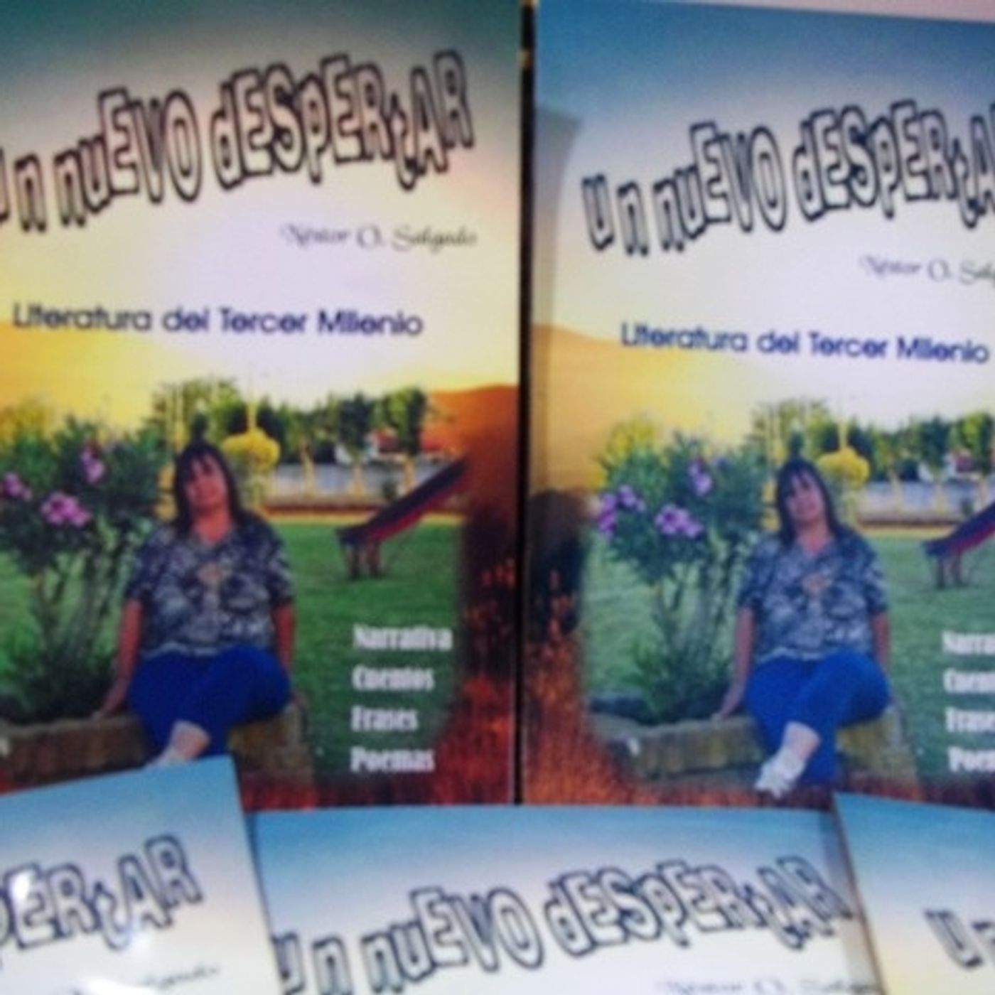 Noticias Regionales y literatura