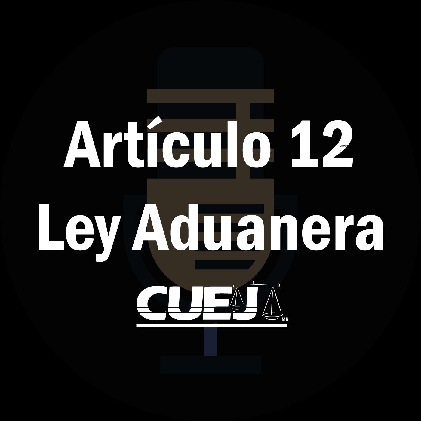 Audio Ley Aduanera
