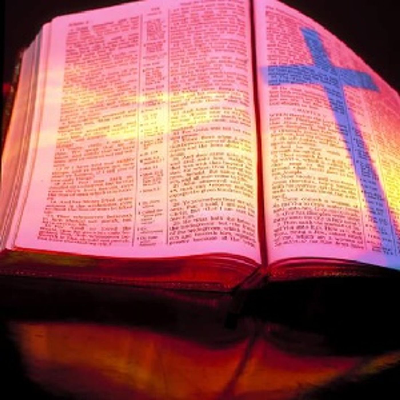 Bible Reading From The Word Of God