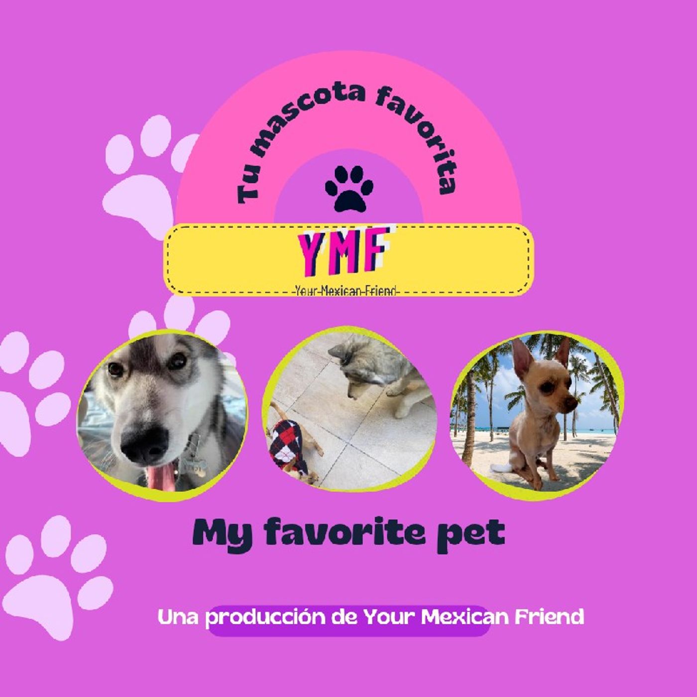 Mi mascota favorita ( My Favorite Pet)