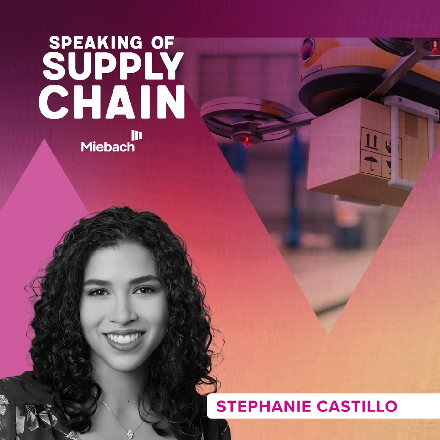 Speaking of Supply Chain