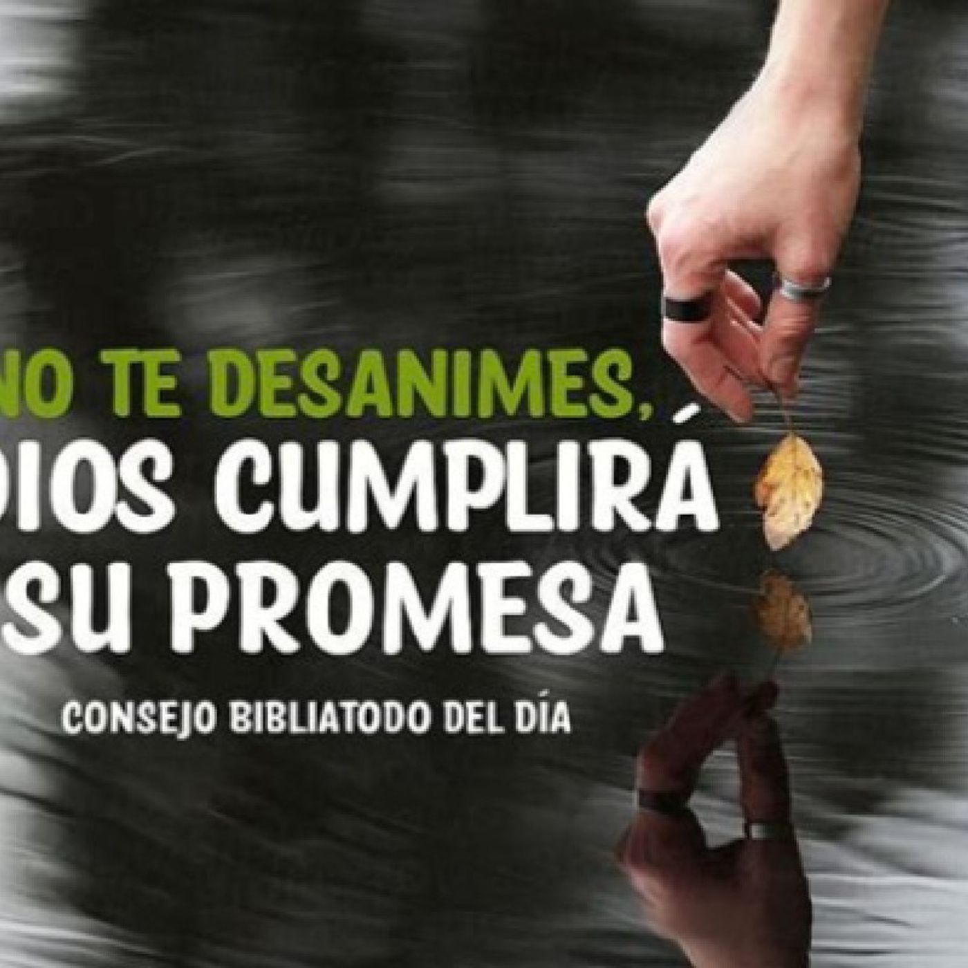 Radio Cristiana