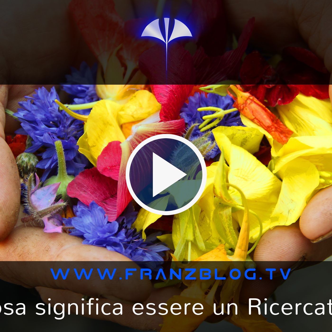 Franz\'s Blog